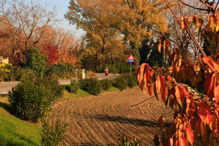  Giorgio Bertuzzi colori dell'autunno piacentino